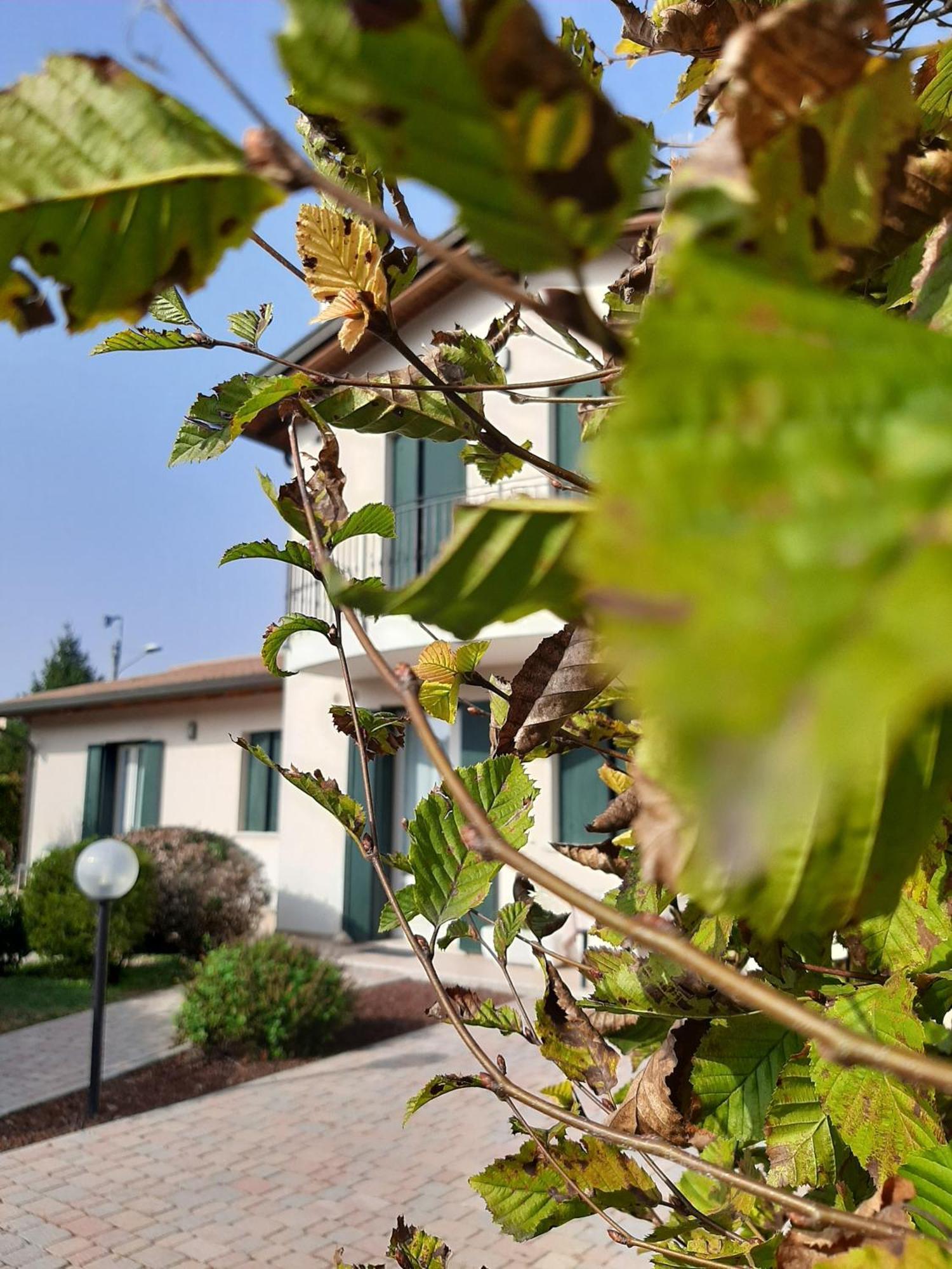 Casa Di Clara Hotel Portogruaro Eksteriør billede